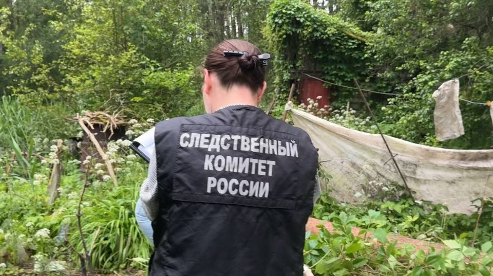 Проверка по факту гибели женщины от упавшего дерева проводится в Пскове Проверка по факту гибели женщины от упавшего дерева проводится в Пскове