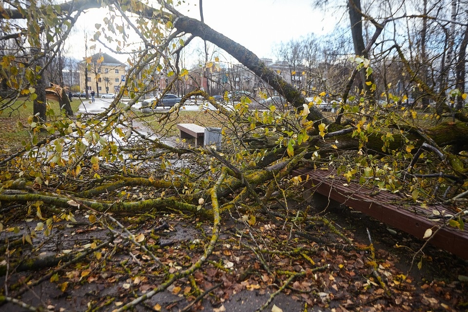 11 тысяч человек оставались без света в Псковской области в ночь на 1 июля 11 тысяч человек оставались без света в Псковской области в ночь на 1 июля