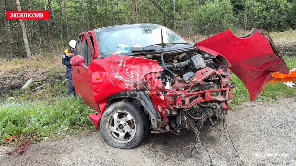 Пьяный водитель устроил дебош на месте ДТП в Псковском районе 
