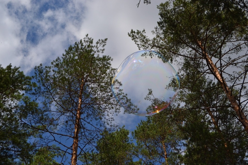 Фестиваль активного отдыха «Алек» пройдёт в Гдовском районе в августе Фестиваль активного отдыха «Алек» пройдёт в Гдовском районе в августе