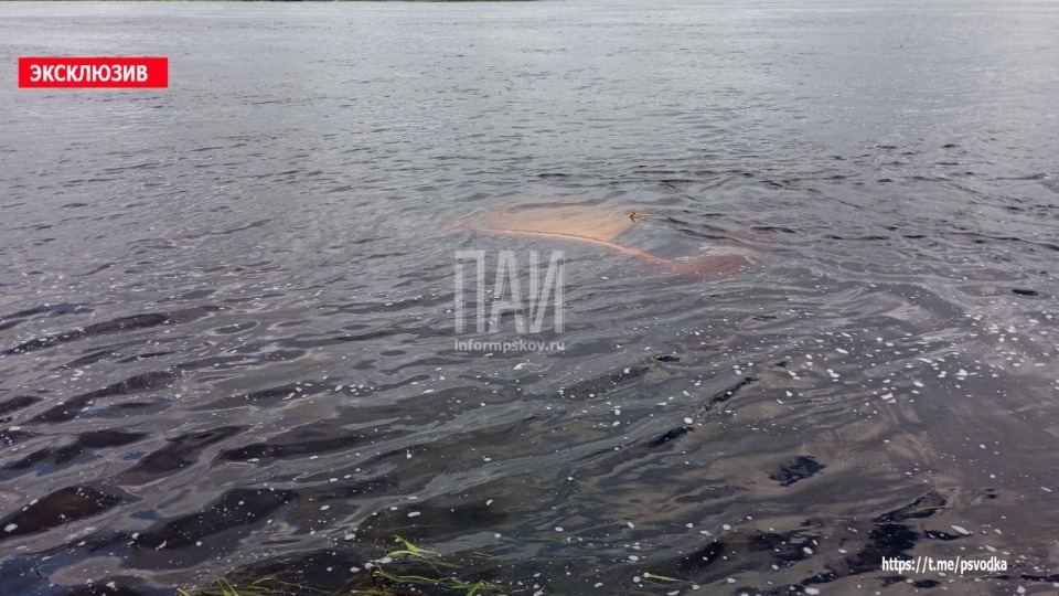 Рыбак спас людей из тонущей машины в Псковском районе