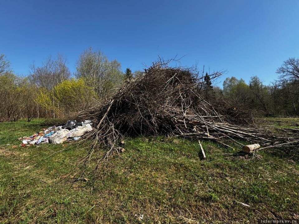 Несанкционированная свалка причинила ущерб пастбищу в Усвятском района Несанкционированная свалка причинила ущерб пастбищу в Усвятском района