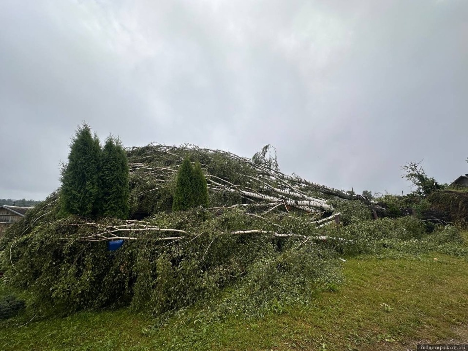 Почему Псковскую область накрыл шквалистый ветер, объяснила метеоролог Почему Псковскую область накрыл шквалистый ветер, объяснила метеоролог