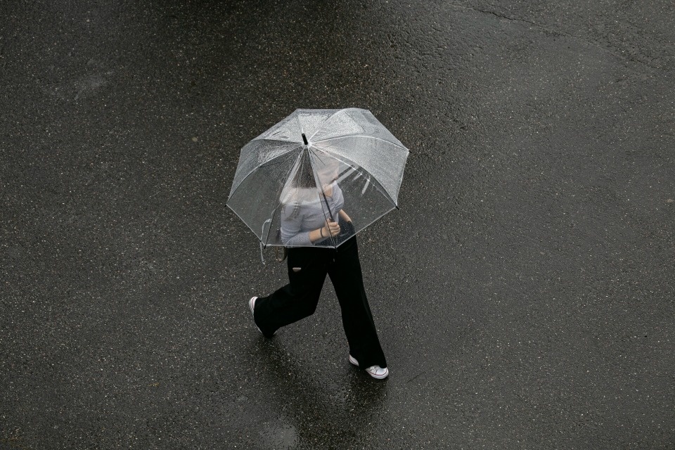 Текущее псковское лето – подарок для аллергиков, завила врач Текущее псковское лето – подарок для аллергиков, завила врач