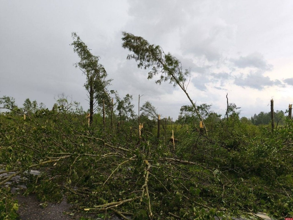 Второй за три дня сильный шторм обрушился на Псковскую область 