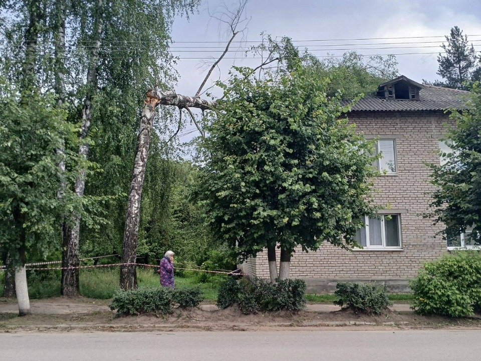 Второй за три дня сильный шторм обрушился на Псковскую область 