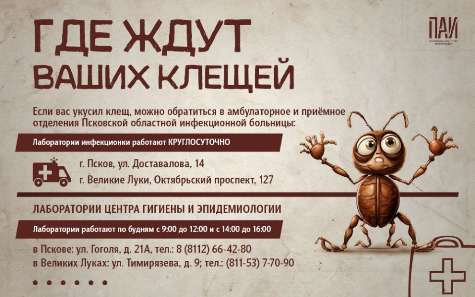 Четыре человека находятся в Псковской инфекционной больнице с укусами клеща