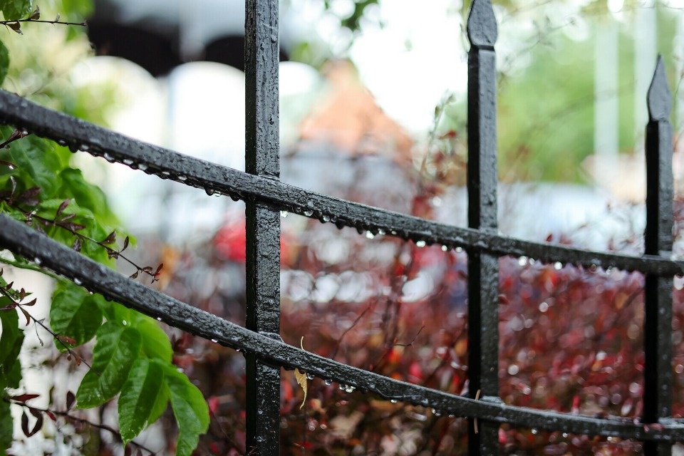 Ливни и грозы прогнозируются в Псковской области 15 июля