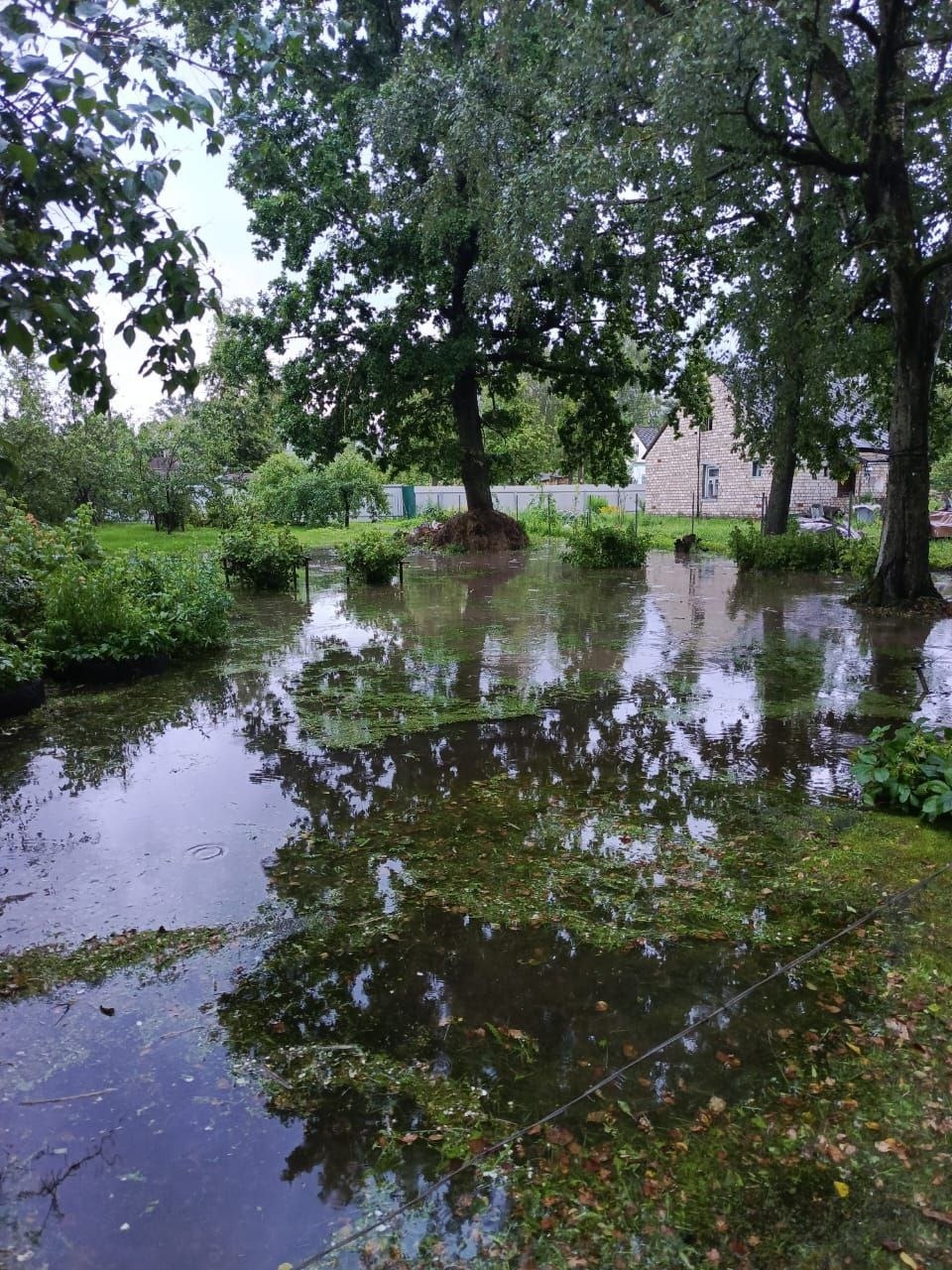 Уровень воды Утроя достиг критического в Пыталовском районе 