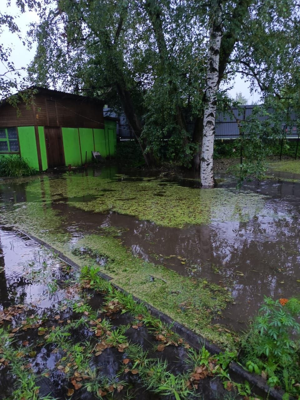 Уровень воды Утроя достиг критического в Пыталовском районе 