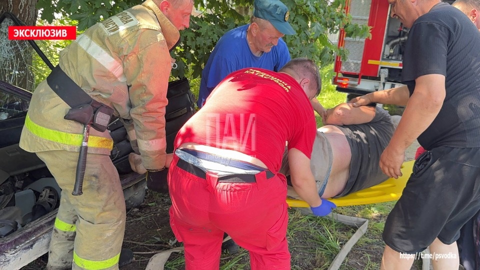 Пьяный водитель протаранил дерево в Палкинском дороге Пьяный водитель протаранил дерево в Палкинском дороге