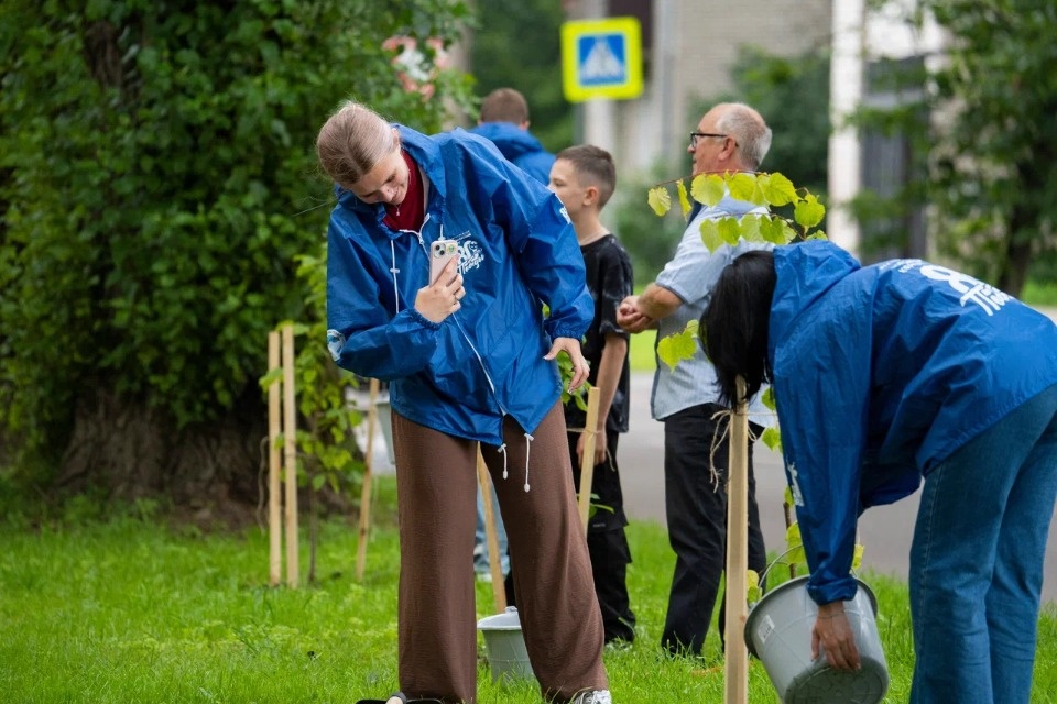 В Пскове в честь Дня города высадили 12 лип