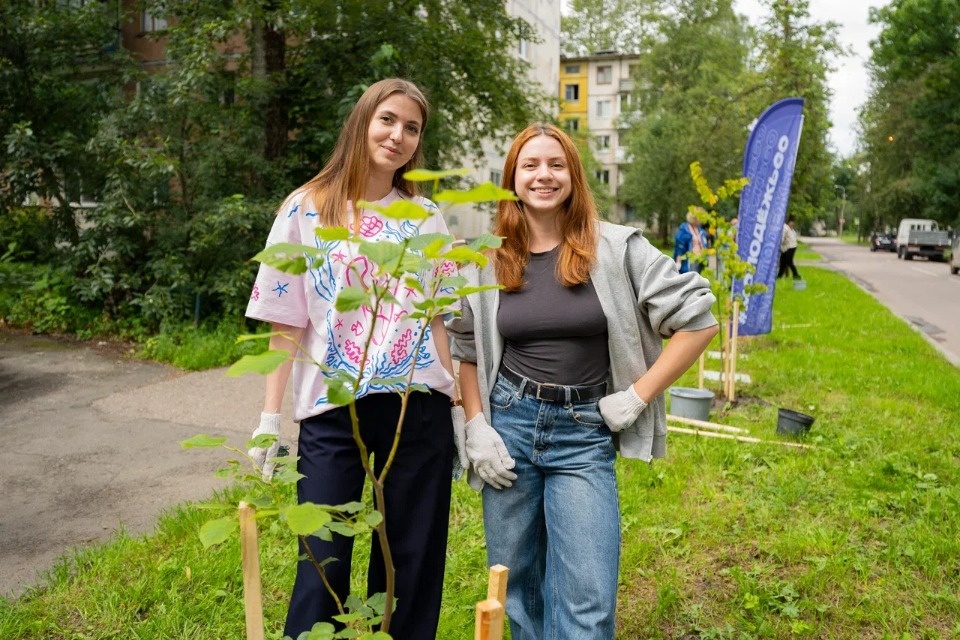 В Пскове в честь Дня города высадили 12 лип