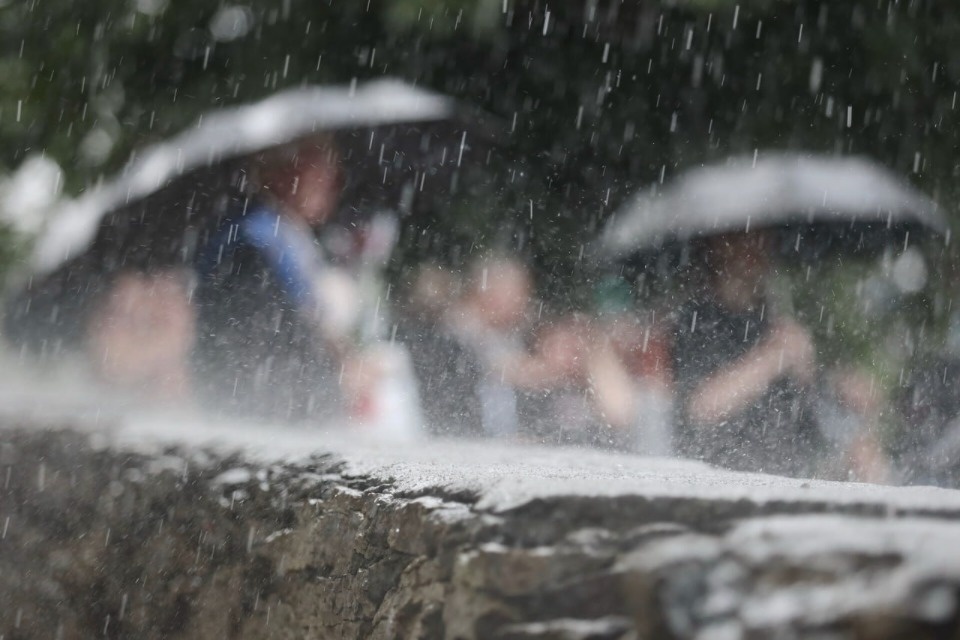 До +29 градусов прогреется воздух в Псковской области 24 июля