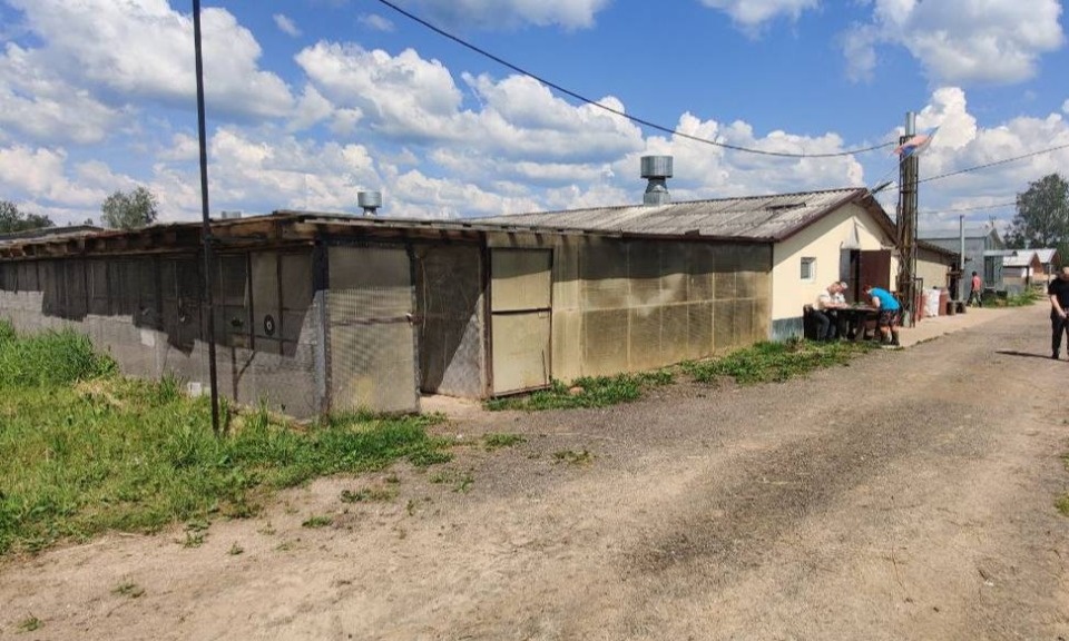 В Порховском районе мужчина погиб от удара током