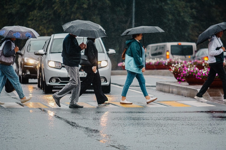До 30 градусов тепла ожидается в Псковской области 28 июля До 30 градусов тепла ожидается в Псковской области 28 июля