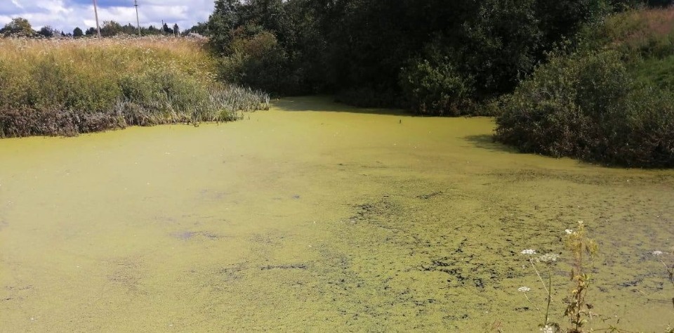 Проверка по факту гибели мужчины на водоеме проводится в Великолукском районе Проверка по факту гибели мужчины на водоеме проводится в Великолукском районе