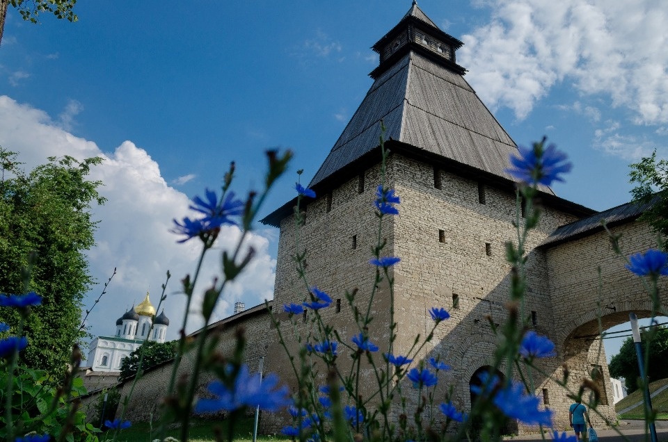 Часть объектов Псковского музея-заповедника закрыли на санитарные дни