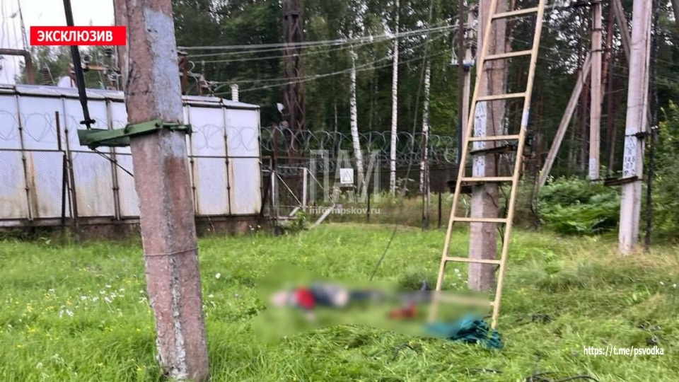 Электромонтер погиб во время аварийно-восстановительных работ в Гдовском районе