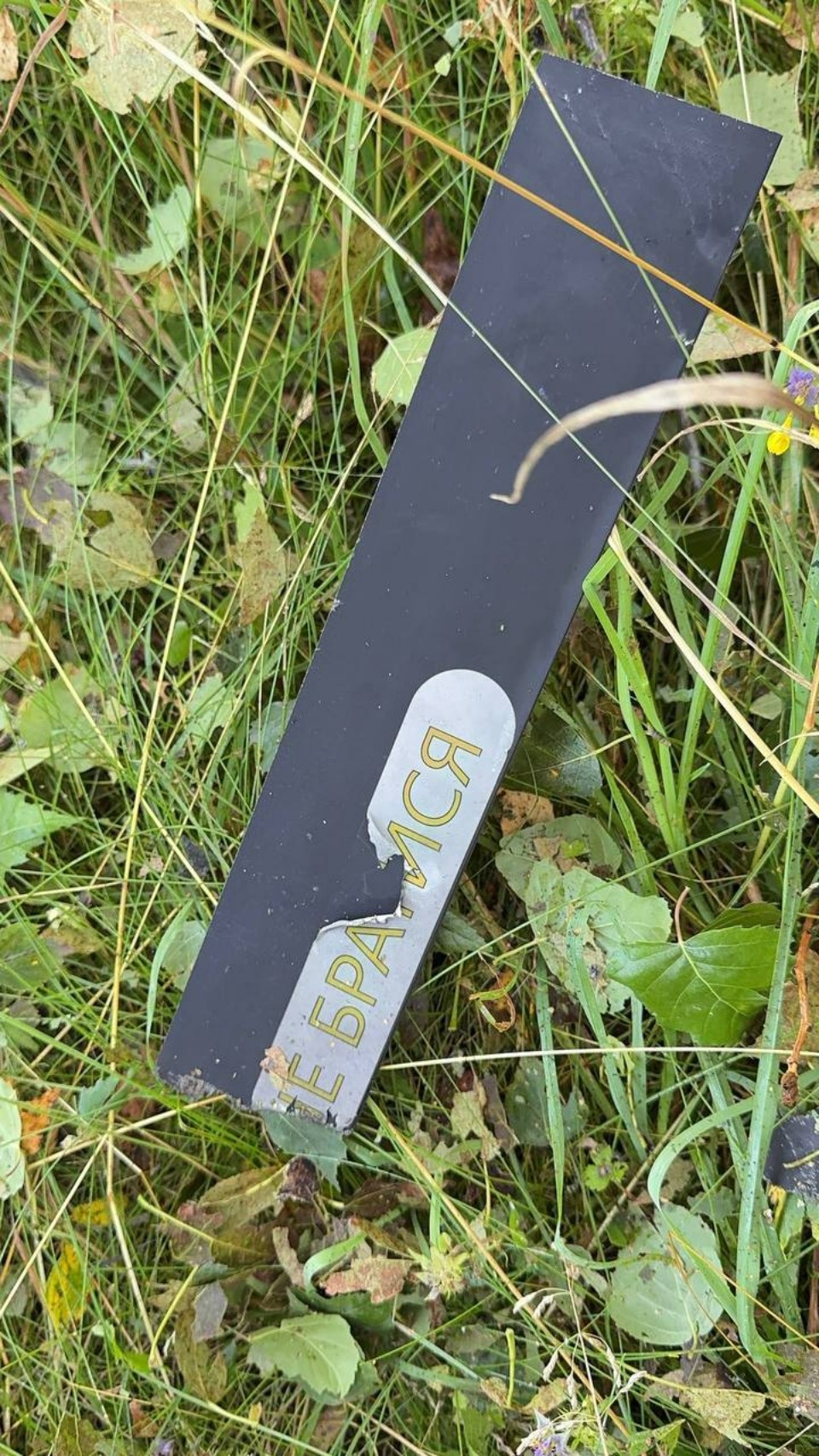 Вражеский беспилотник сбили над Неелово в Псковском районе