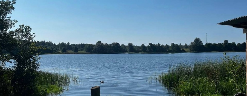 Мужчина утонул в озере Долысское в Невельском районе