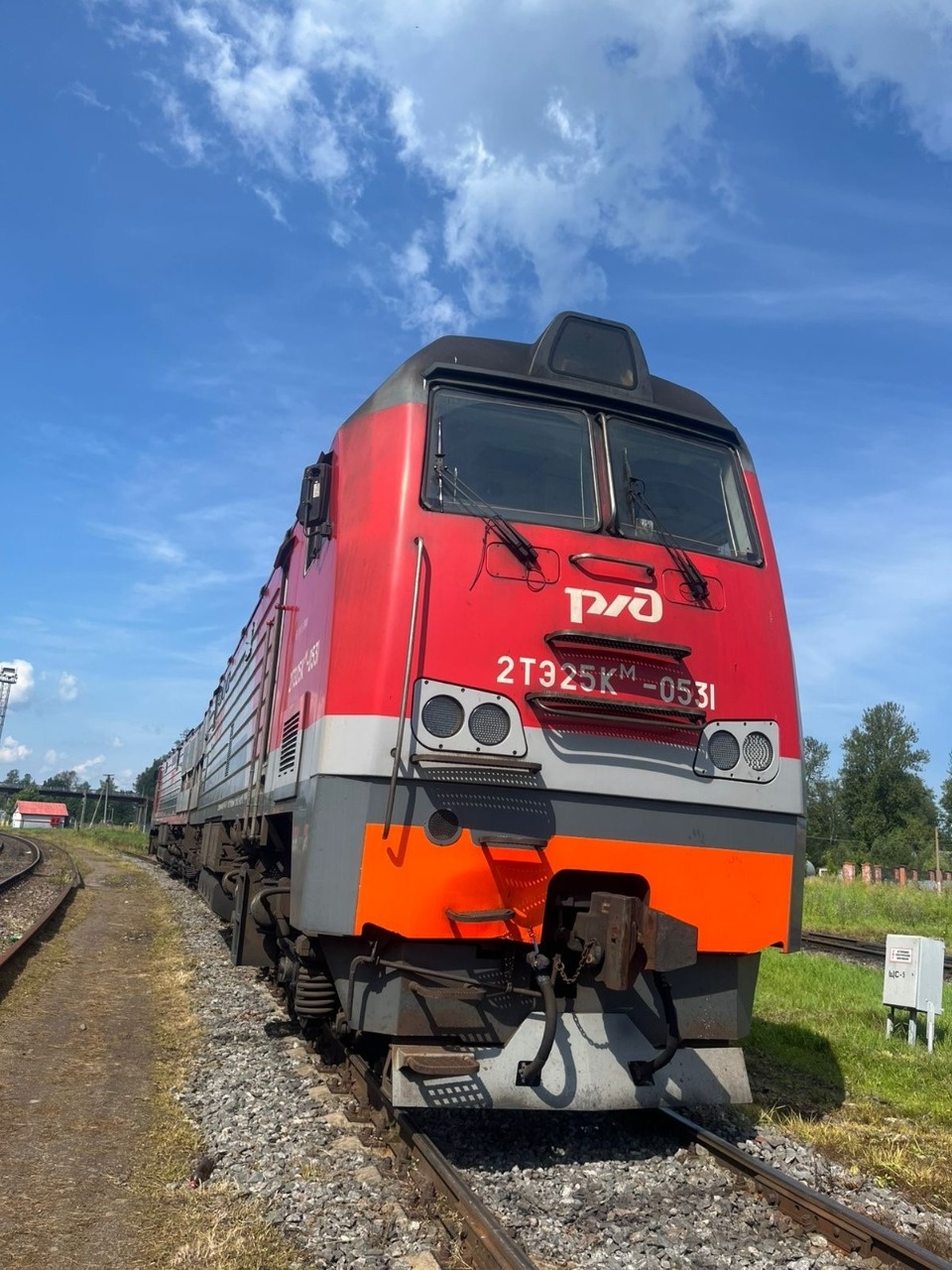 В Дно двое мужчин незаконно слили из локомотива порядка 280 кг дизельного топлива