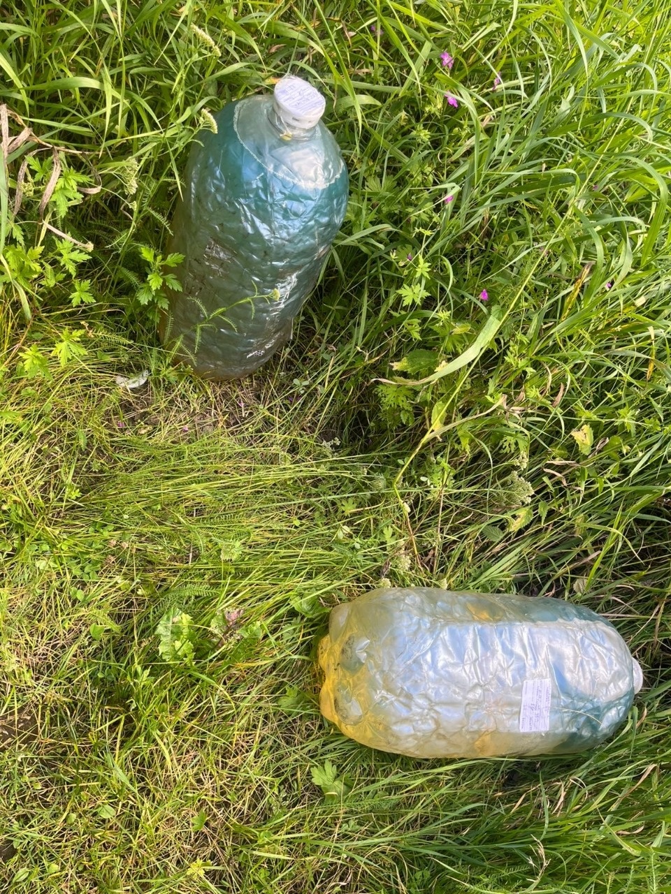 В Дно двое мужчин незаконно слили из локомотива порядка 280 кг дизельного топлива