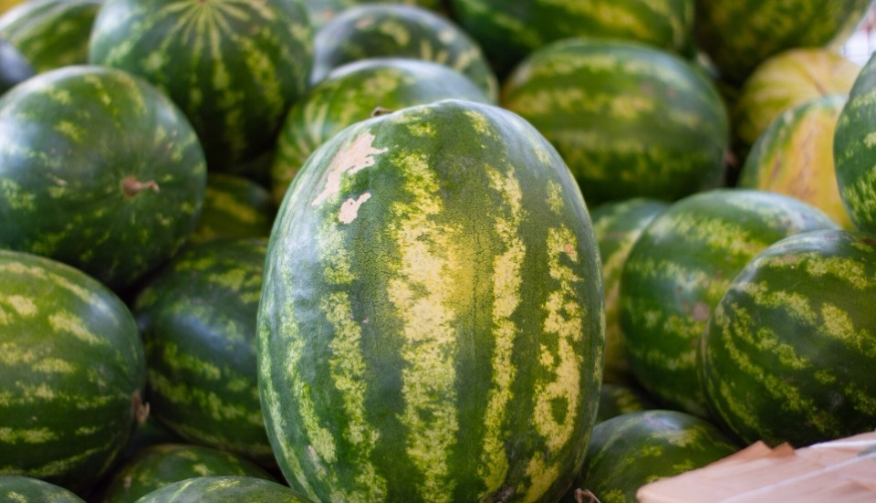 Эксперты рассказали, что делать при отравлении некачественным арбузом