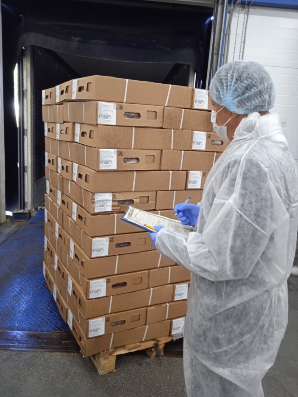 24 тысячи тонн животноводческой продукции экспортировали из Псковской области в семь стран мира за семь месяцев