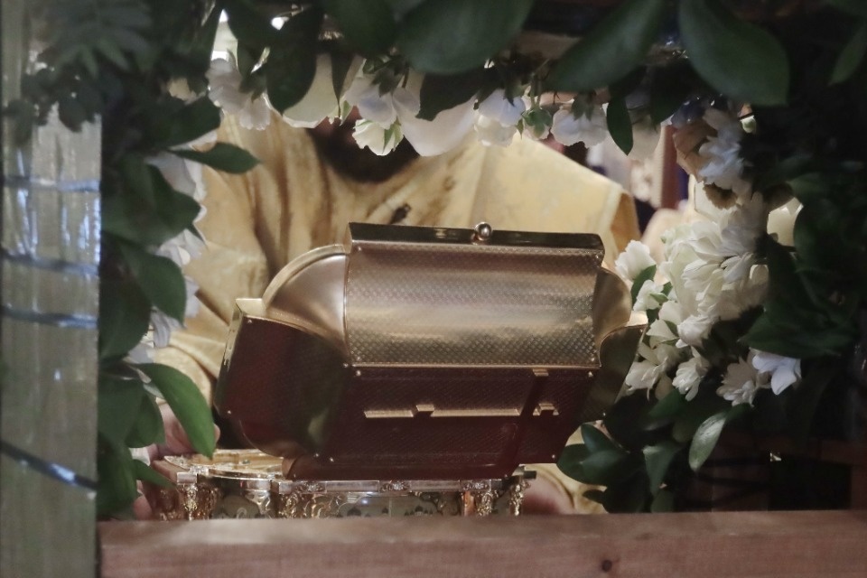 На родной земле