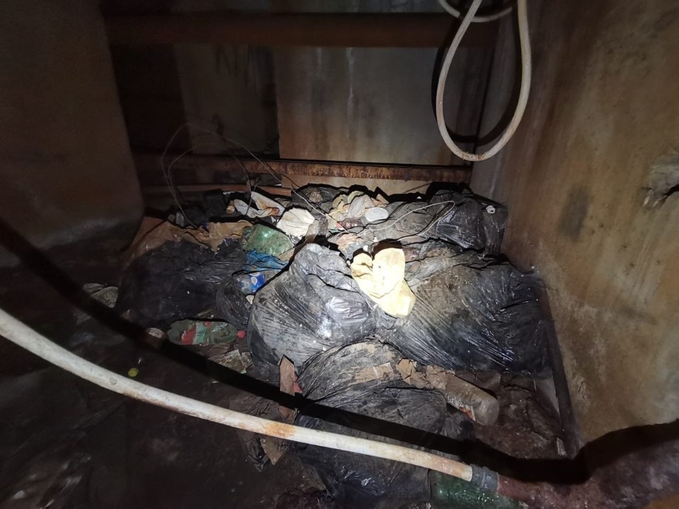Псковская управляйка превратила подвалы в свалку с трупами животных и блохами 