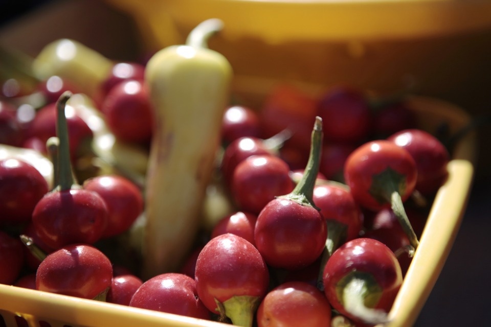 20 сентября в Псковском районе пройдет осенняя сельскохозяйственная ярмарка 20 сентября в Псковском районе пройдет осенняя сельскохозяйственная ярмарка