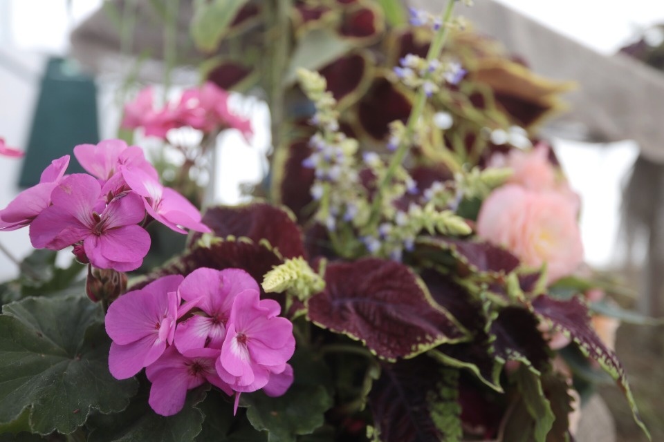 Праздник садоводов Праздник садоводов