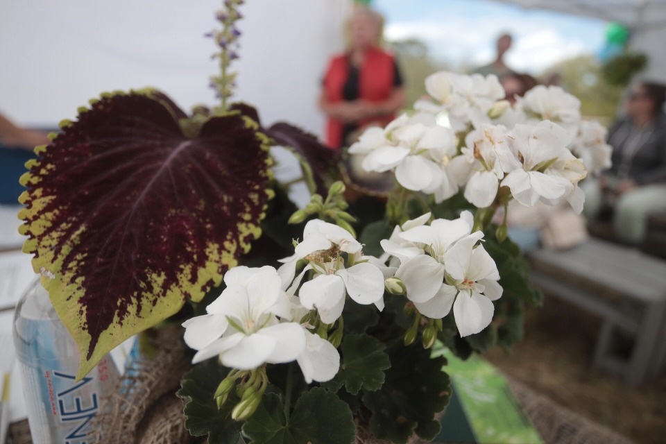 Праздник садоводов Праздник садоводов