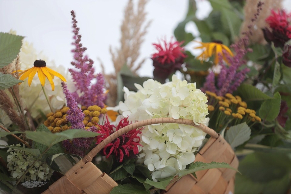 Праздник садоводов Праздник садоводов
