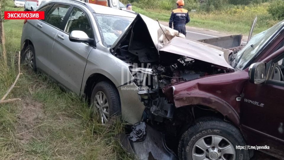 Двоих водителей госпитализировали в результате ДТП в Великолукском районе