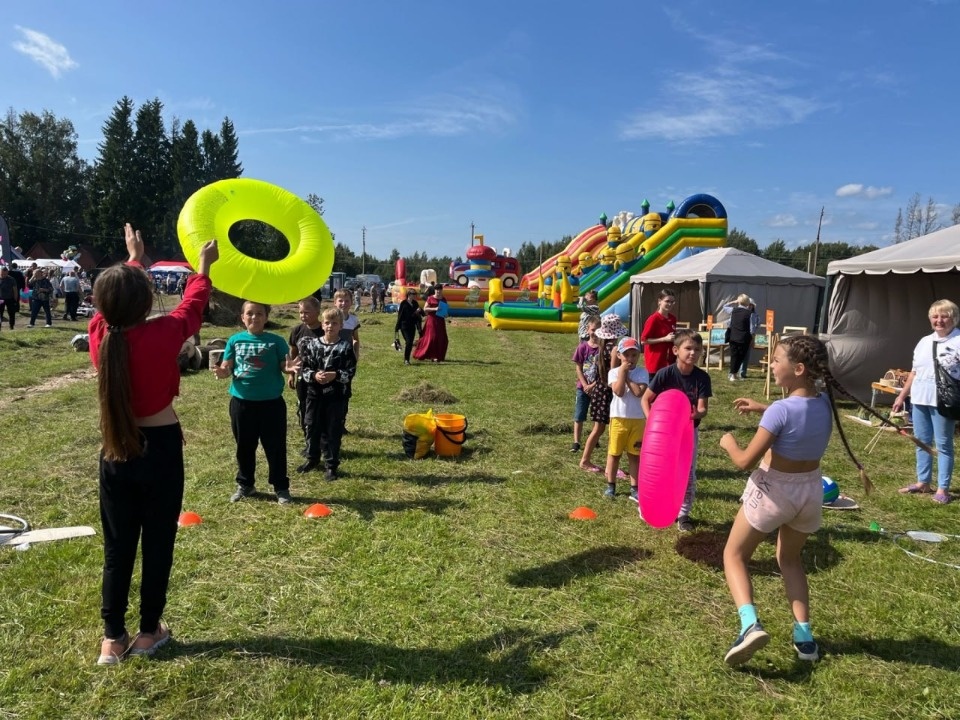 Псковские профсоюзы организуют площадку на Дне села в Середке
