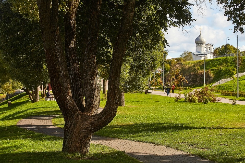 Псковский метеоролог: Заморозков в сентябре пока не прогнозируется