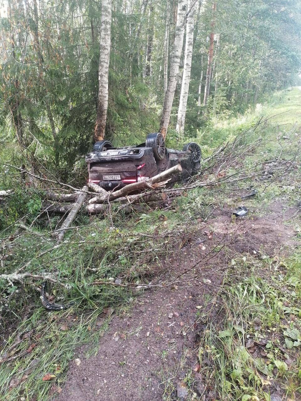 Один человек погиб и 23 пострадали в результате ДТП на псковских дорогах за неделю Один человек погиб и 23 пострадали в результате ДТП на псковских дорогах за неделю