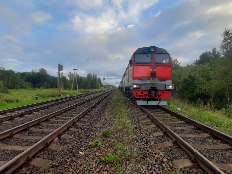 Почти 630 кг дизельного топлива слили с локомотива жители Псковской области