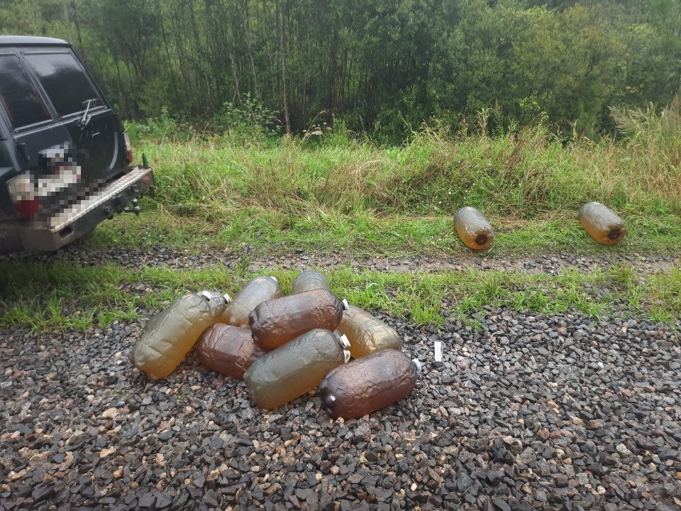 Почти 630 кг дизельного топлива слили с локомотива жители Псковской области