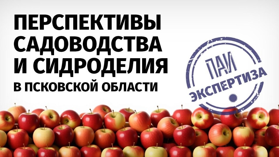 Проект «ПАИ. Экспертиза» запускает Псковское агентство информации