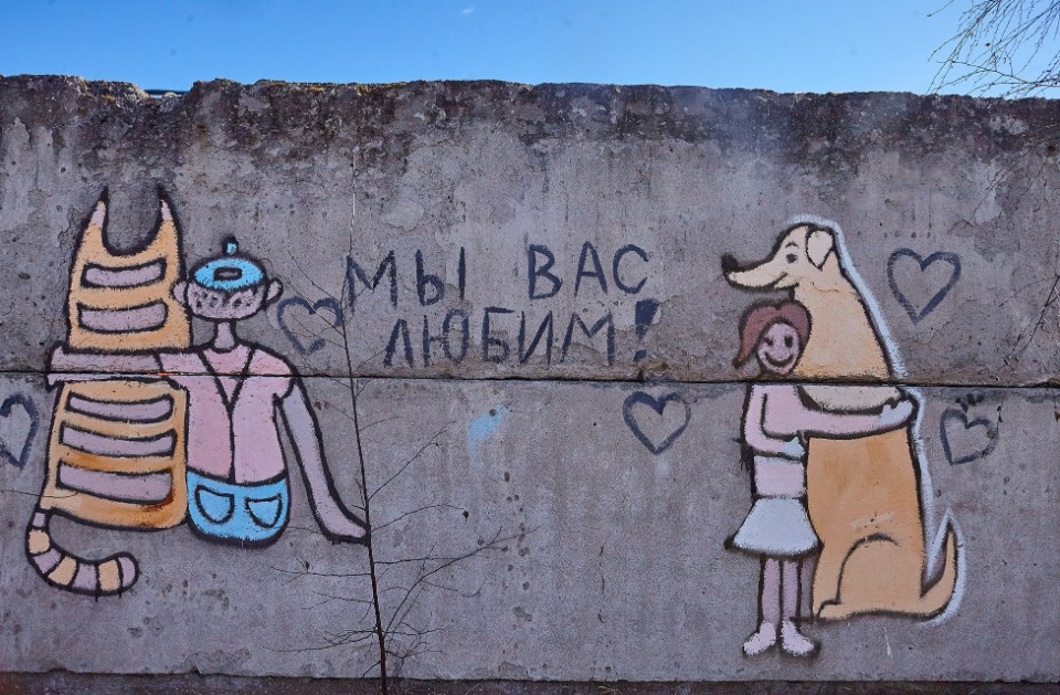 В Пскове в пандемию особенно часто возвращали взятых из приютов животных