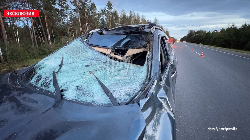 Двое детей пострадали в ДТП с лосем на Ленинградском шоссе в Пскове