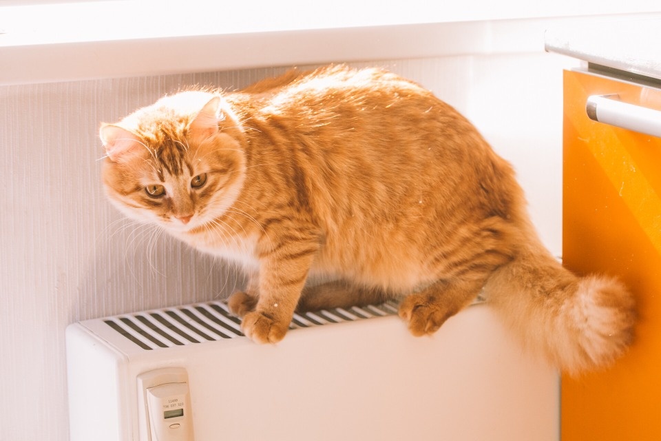 К предстоящему отопительному сезону пока не готовы более 300 домов Пскова