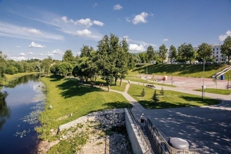 БПЛА уничтожили над южными районами Псковской области