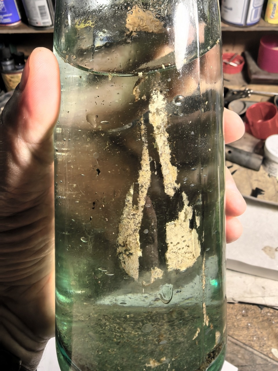 Старинное послание на немецком извлекли из бутылки в Псковской области