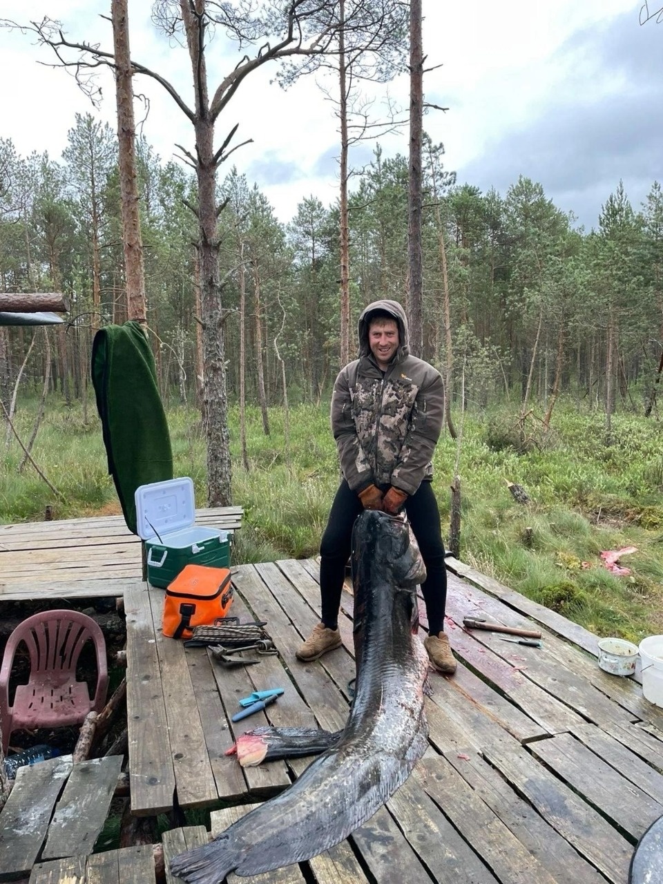 Мужчина поймал двухметрового сома в Куньинском районе 