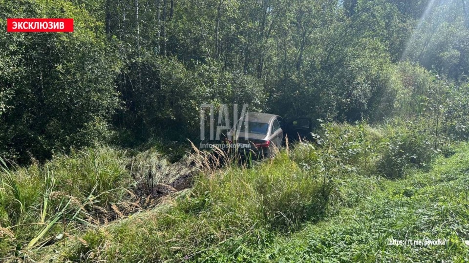 Водитель умер за рулем в Себежском районе 