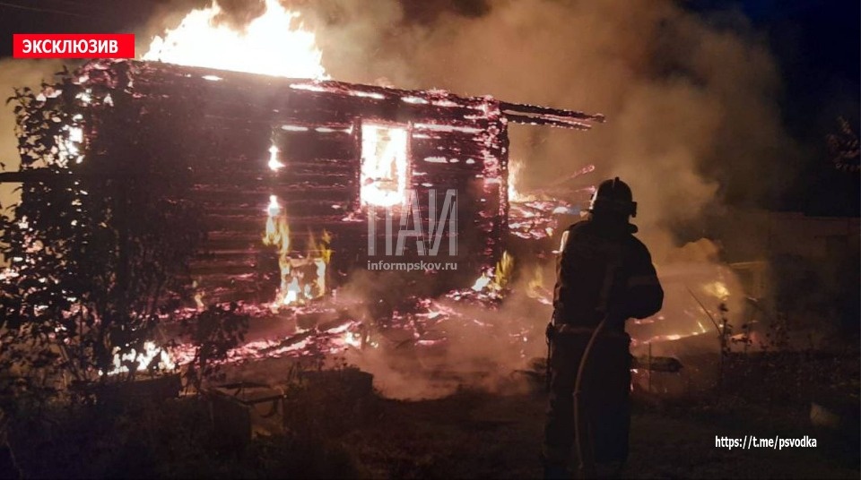 44 человека погибли на пожарах в Псковской области с начала года